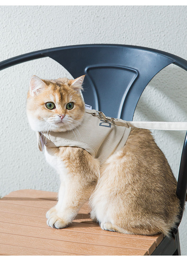 New Dog Harness And Leash Set Woven Fabric Cat And Puppy Vest Harness Leads To Small Medium-Sized Dogs Traction In Pet Clothes