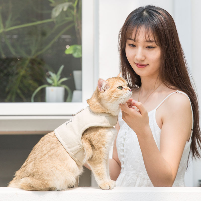New Dog Harness And Leash Set Woven Fabric Cat And Puppy Vest Harness Leads To Small Medium-Sized Dogs Traction In Pet Clothes