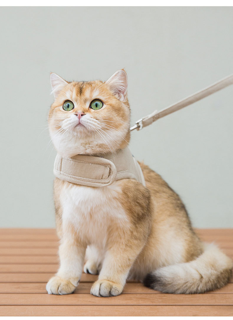 New Dog Harness And Leash Set Woven Fabric Cat And Puppy Vest Harness Leads To Small Medium-Sized Dogs Traction In Pet Clothes